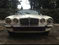 Jaguar XJ12 coupe’ White - thumbnail 1