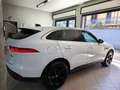 Jaguar F-Pace F-Pace 2015 2.0d i4 Prestige 180cv auto my20 Bianco - thumbnail 5