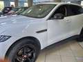 Jaguar F-Pace F-Pace 2015 2.0d i4 Prestige 180cv auto my20 Bianco - thumbnail 10