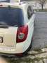 Chevrolet Captiva 2.0 VCDi 4x4 LT+ Executive 7pl. - thumbnail 5
