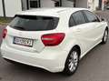 Mercedes-Benz A 180 A 180 BlueEfficiency Edition Lifestyle Edition Lifestyle Weiß - thumbnail 2