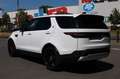 Land Rover Discovery 5 Si6 SE AWD Pano LED DAB Luftfed. White - thumbnail 6