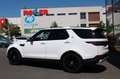 Land Rover Discovery 5 Si6 SE AWD Pano LED DAB Luftfed. White - thumbnail 5