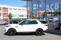Land Rover Discovery 5 Si6 SE AWD Pano LED DAB Luftfed. White - thumbnail 3