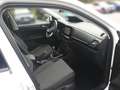 Volkswagen T-Cross 1.0 TSI LIFE *LED *ACC *VIRTUAL *APP *NAVI *SHZ * Bianco - thumbnail 8