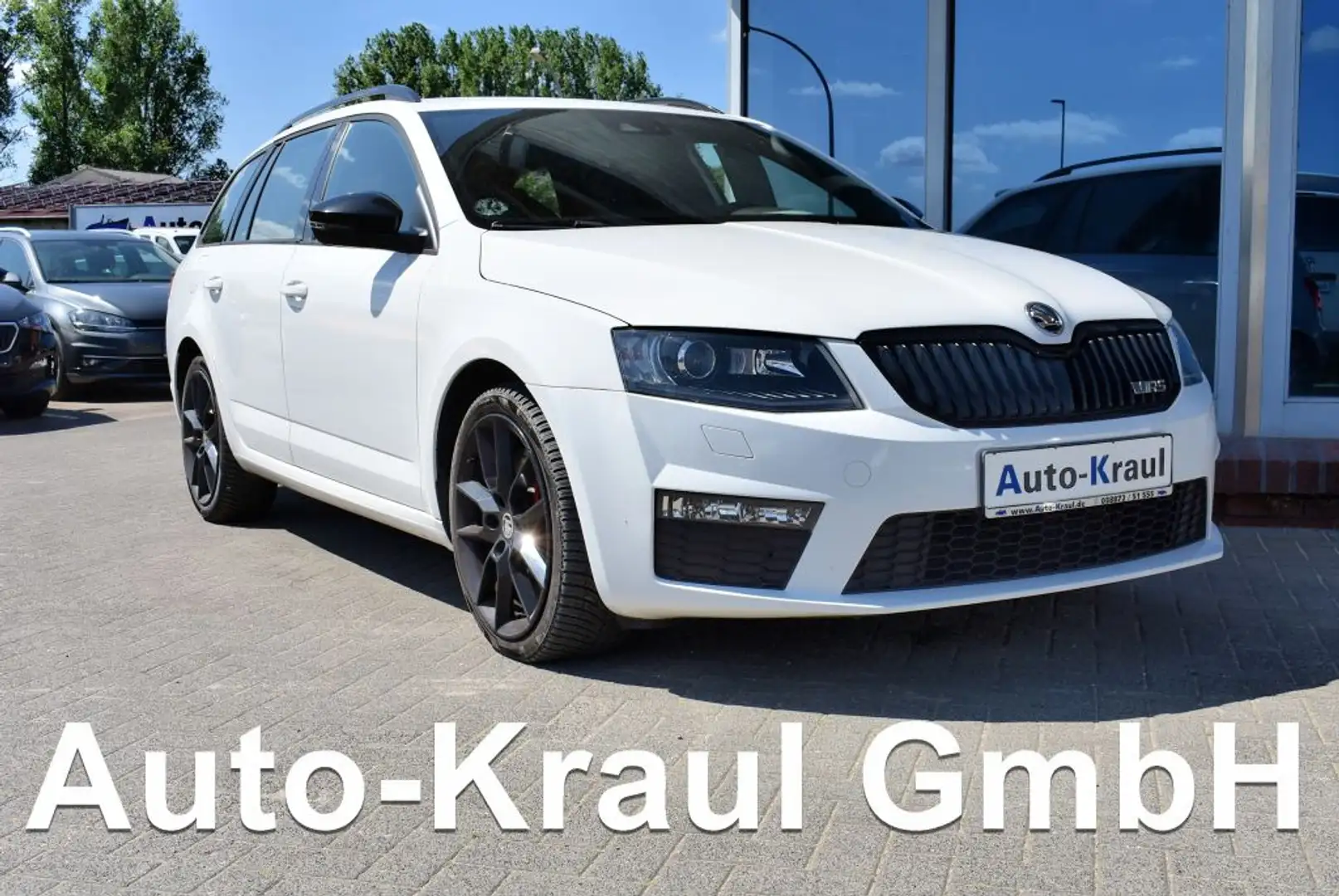 Skoda Octavia Combi 2.0 TDI (Green tec) RS  Bi-Xenon Leder Alu S White - 1