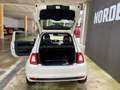 Fiat 500 1.0 Hybrid Connect 70cv NAZIONALE OK NEOPATENTATI Bianco - thumbnail 14