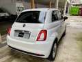 Fiat 500 1.0 Hybrid Connect 70cv NAZIONALE OK NEOPATENTATI Bianco - thumbnail 4