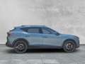 CUPRA Formentor 2.0TSI 333PS 4DRIVE DSG VZ EXTREME AHK Grau - thumbnail 6