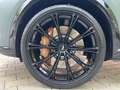 CUPRA Formentor 2.0TSI 333PS 4DRIVE DSG VZ EXTREME AHK Grau - thumbnail 13