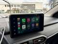 Dacia Sandero Stepway Expression TCe90 LED PDC Kamera Vert - thumbnail 21