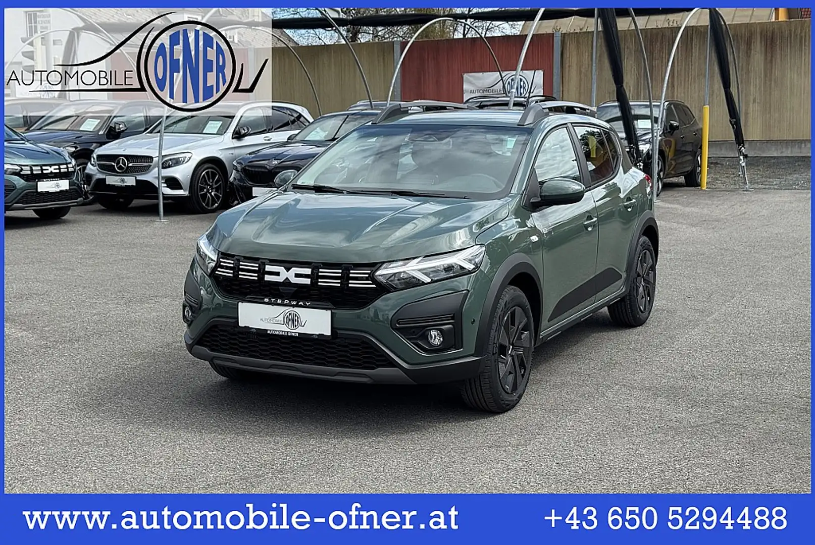 Dacia Sandero Stepway Expression TCe90 LED PDC Kamera Grün - 1