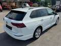 Volkswagen Golf Variant Golf VIII Variant 2,0 TDI Life Weiß - thumbnail 5