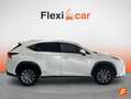 Lexus NX 300 300h Business Navigation 2WD Blanco - thumbnail 5