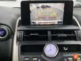 Lexus NX 300 300h Business Navigation 2WD Blanco - thumbnail 20