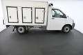 Volkswagen T5 2.0 TDI Tiefpritsche Kühlwagen lang Pickerl NEU Weiß - thumbnail 6