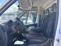 Citroen Jumper Cassone centinato 2.0D Cv 165 Blanc - thumbnail 7