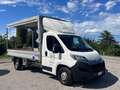 Citroen Jumper Cassone centinato 2.0D Cv 165 Blanc - thumbnail 1