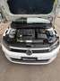Volkswagen Polo Polo 5p 1.6 tdi Trendline 80cv Weiß - thumbnail 9