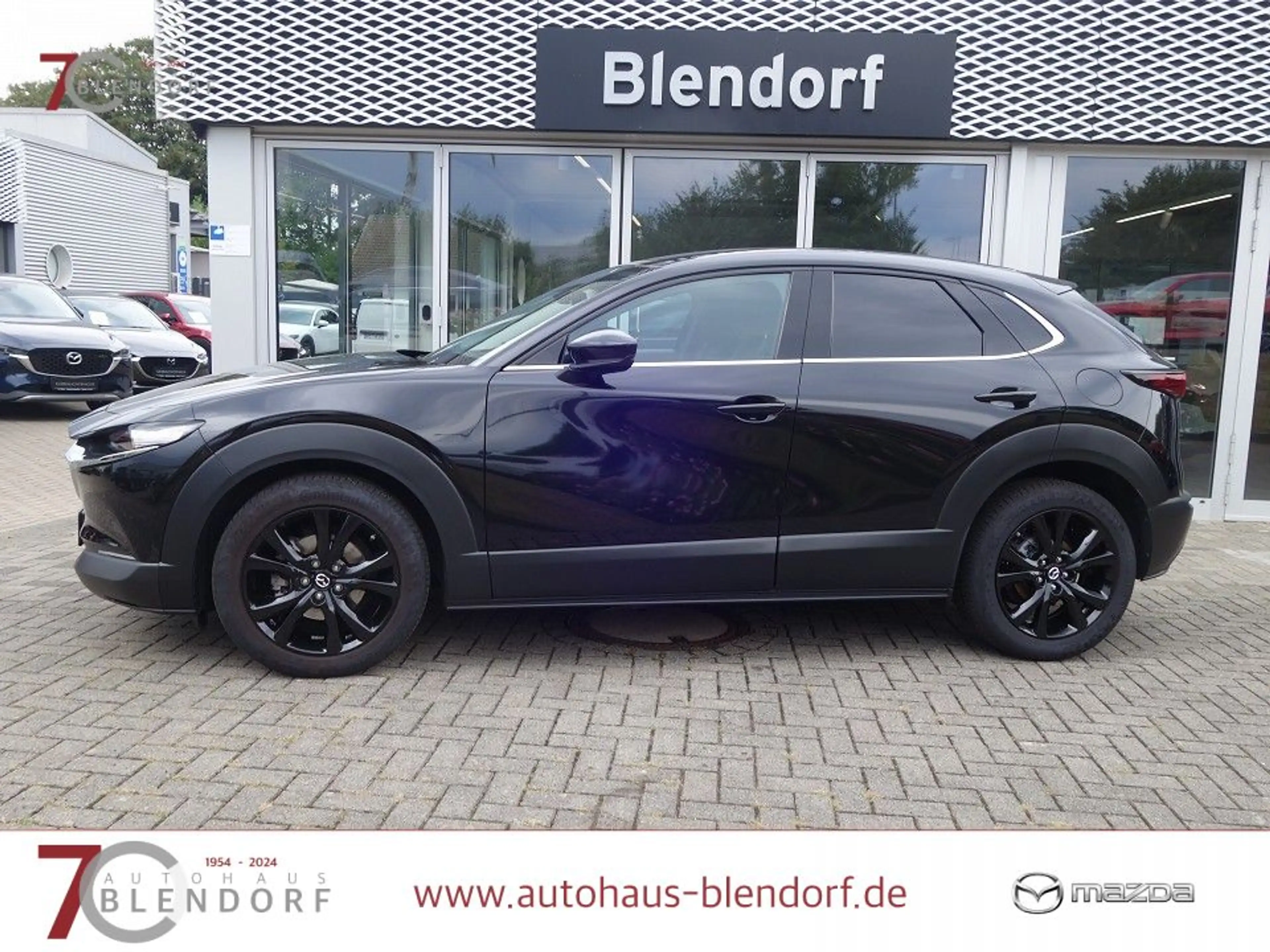 Mazda CX-30 Homura 122 Kamera|LED|Navi|AHK — photo 3