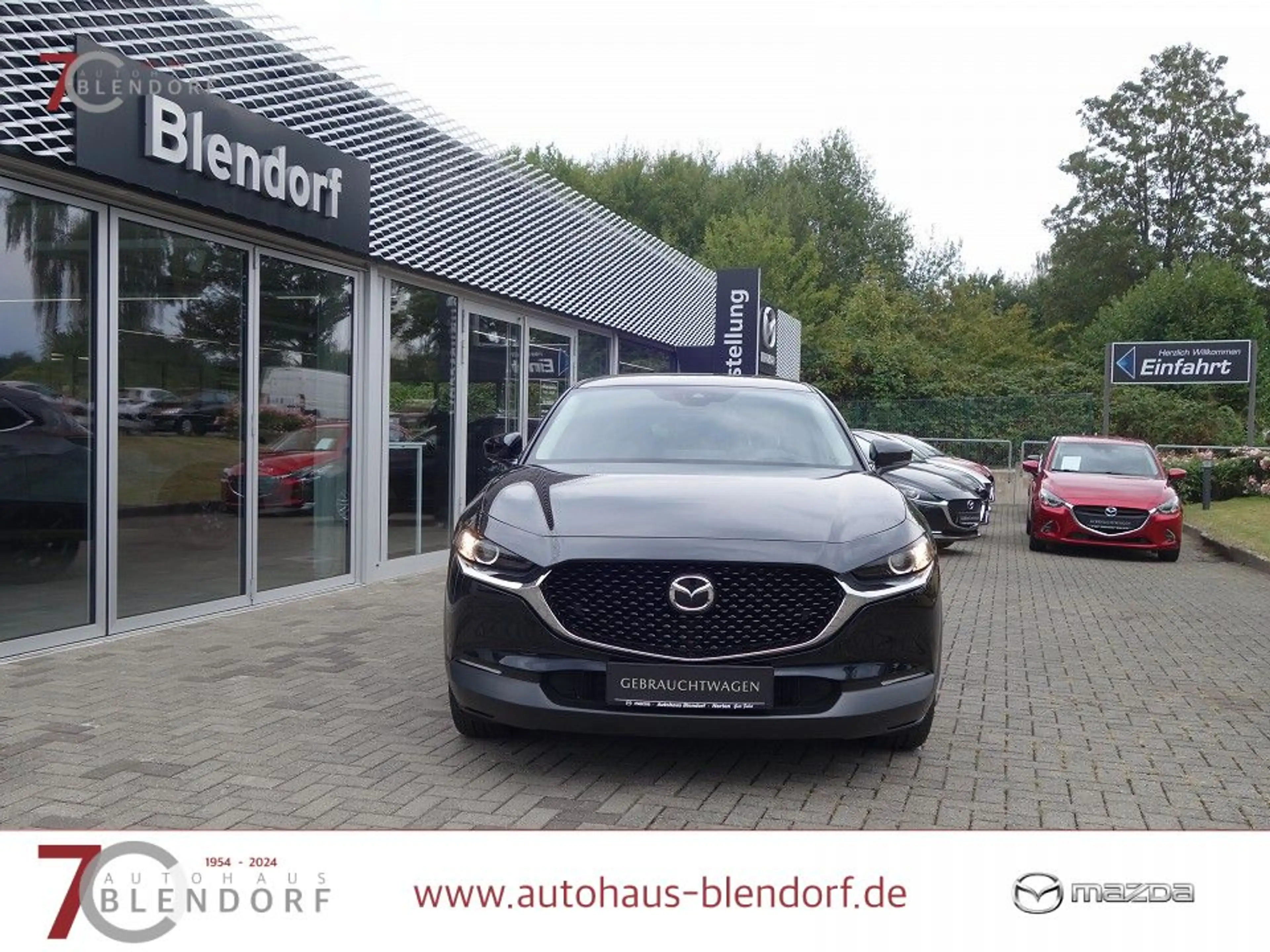 Mazda CX-30 Homura 122 Kamera|LED|Navi|AHK — photo 4