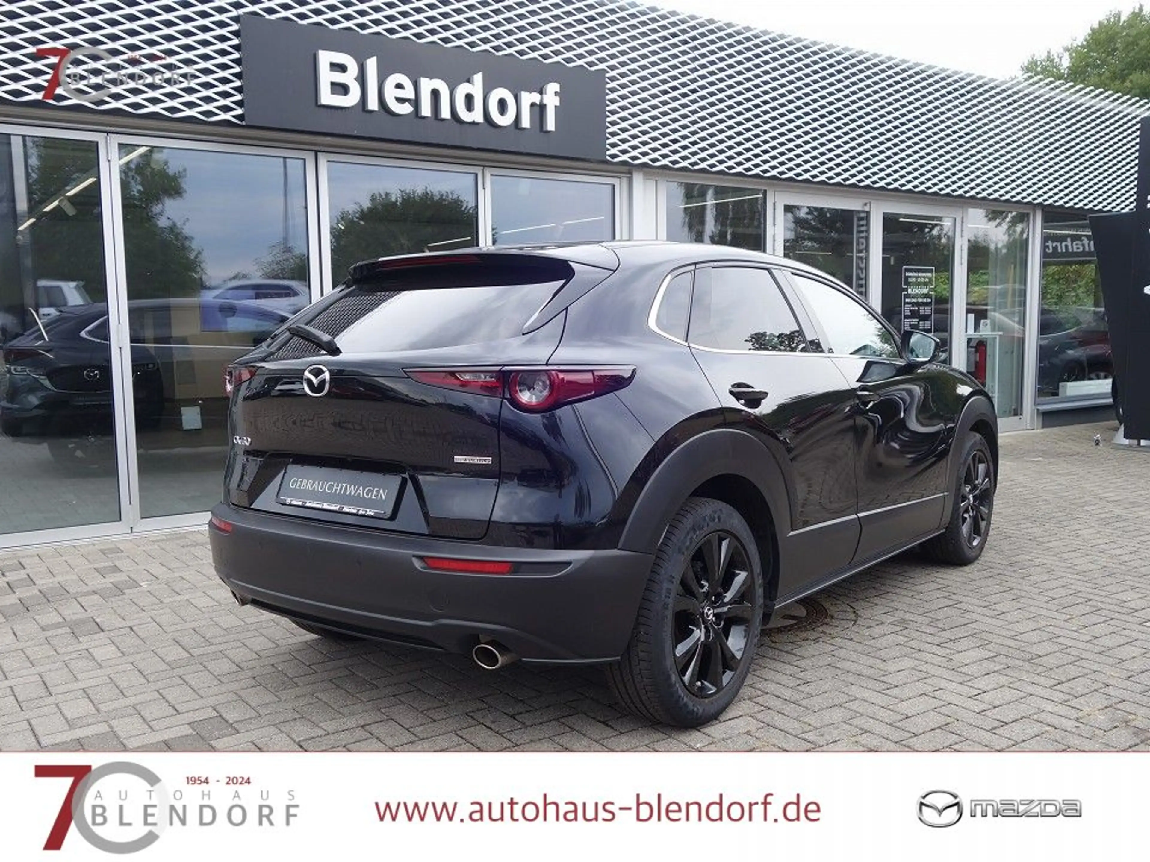 Mazda CX-30 Homura 122 Kamera|LED|Navi|AHK — photo 5