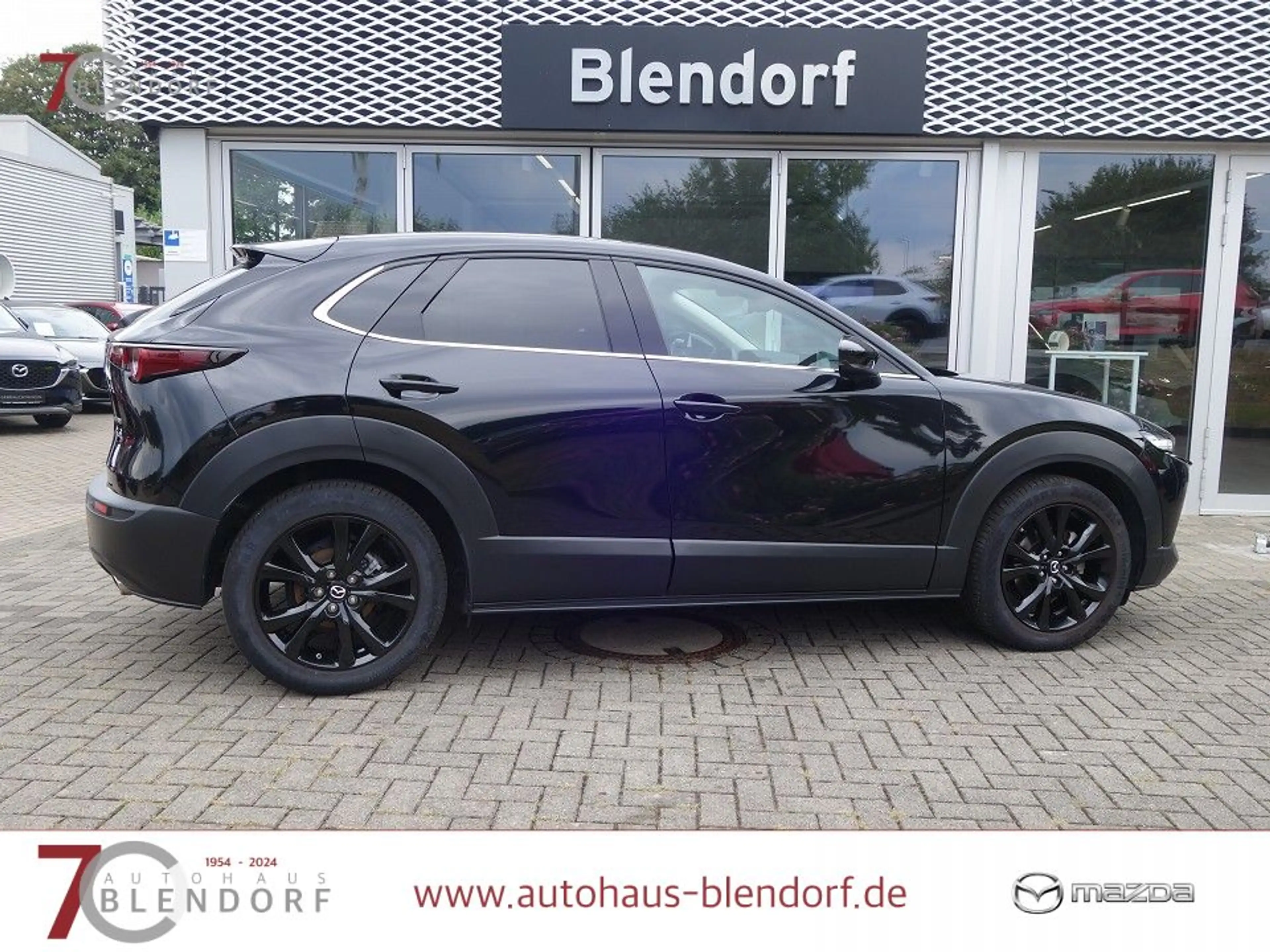 Mazda CX-30 Homura 122 Kamera|LED|Navi|AHK — photo 6