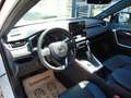 Toyota RAV 4 RAV 4 - 2,5 l Hybrid Weiß - thumbnail 8