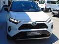 Toyota RAV 4 RAV 4 - 2,5 l Hybrid Weiß - thumbnail 3