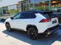 Toyota RAV 4 RAV 4 - 2,5 l Hybrid Weiß - thumbnail 6
