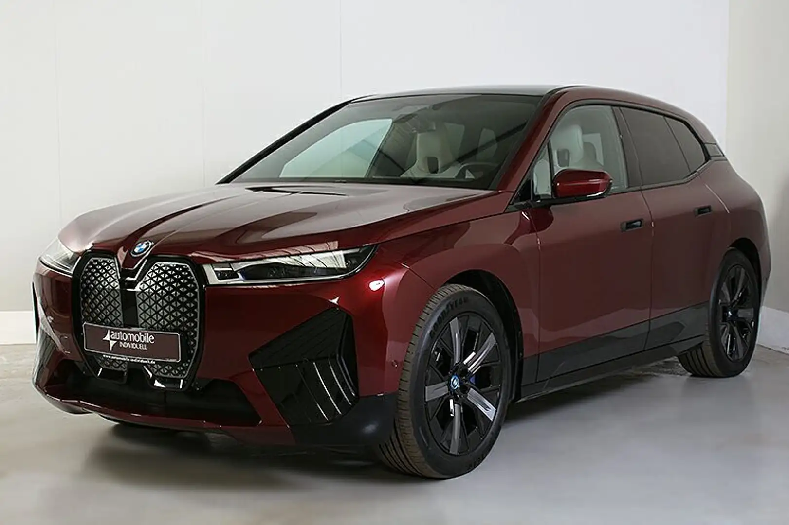BMW iX xDr. 50 Sportpaket AutobahnassistentAHK Panor Rot - 2