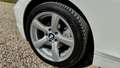 BMW Z4 s-drive 2.5 l 2011 luxe Weiß - thumbnail 21