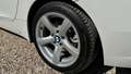 BMW Z4 s-drive 2.5 l 2011 luxe Weiß - thumbnail 22