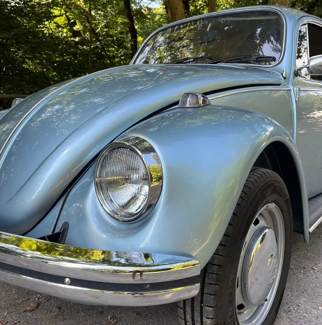Volkswagen Maggiolino Bleu - 2