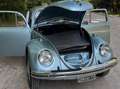 Volkswagen Maggiolino Bleu - thumbnail 12