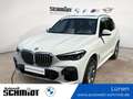 BMW X5 xDrive30d M Sportpaket + GARANTIE Wit - thumbnail 1