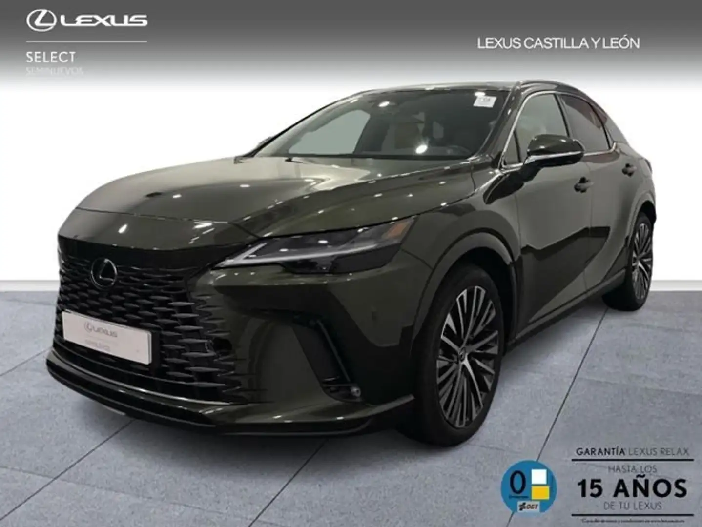 Lexus RX 450h 450h+ EXECUTIVE+ Verde - 1