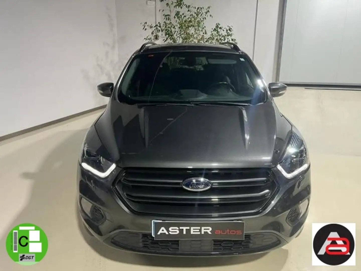 Ford Kuga 2.0TDCi Auto S&S ST-Line 4x2 150 Gris - 2