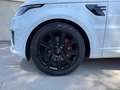 Land Rover Range Rover Sport Range Rover Sport P400e PHEV 2.0L 404ch HSE Wit - thumbnail 3