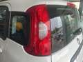 Fiat Panda 0.9 TwinAir Turbo S&S 4x4 City Cross Bianco - thumbnail 13