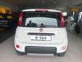 Fiat Panda 0.9 TwinAir Turbo S&S 4x4 City Cross Bianco - thumbnail 8