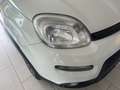 Fiat Panda 0.9 TwinAir Turbo S&S 4x4 City Cross Bianco - thumbnail 11