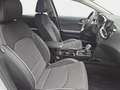 Kia XCeed XCEED 1.6 T-GDI 150 DCT SPIRIT MJ26 XCLUSIVE Weiß - thumbnail 17