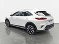 Kia XCeed XCEED 1.6 T-GDI 150 DCT SPIRIT MJ26 XCLUSIVE Weiß - thumbnail 5