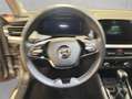 Skoda Kamiq 1.0 TSI DSG Tour Grau - thumbnail 11