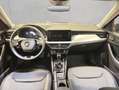 Skoda Kamiq 1.0 TSI DSG Tour Grau - thumbnail 13