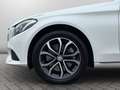 Mercedes-Benz C 250 d T 4M 9G Avantgarde *DISTR*AHK*ILS*STDHZG Blanc - thumbnail 21