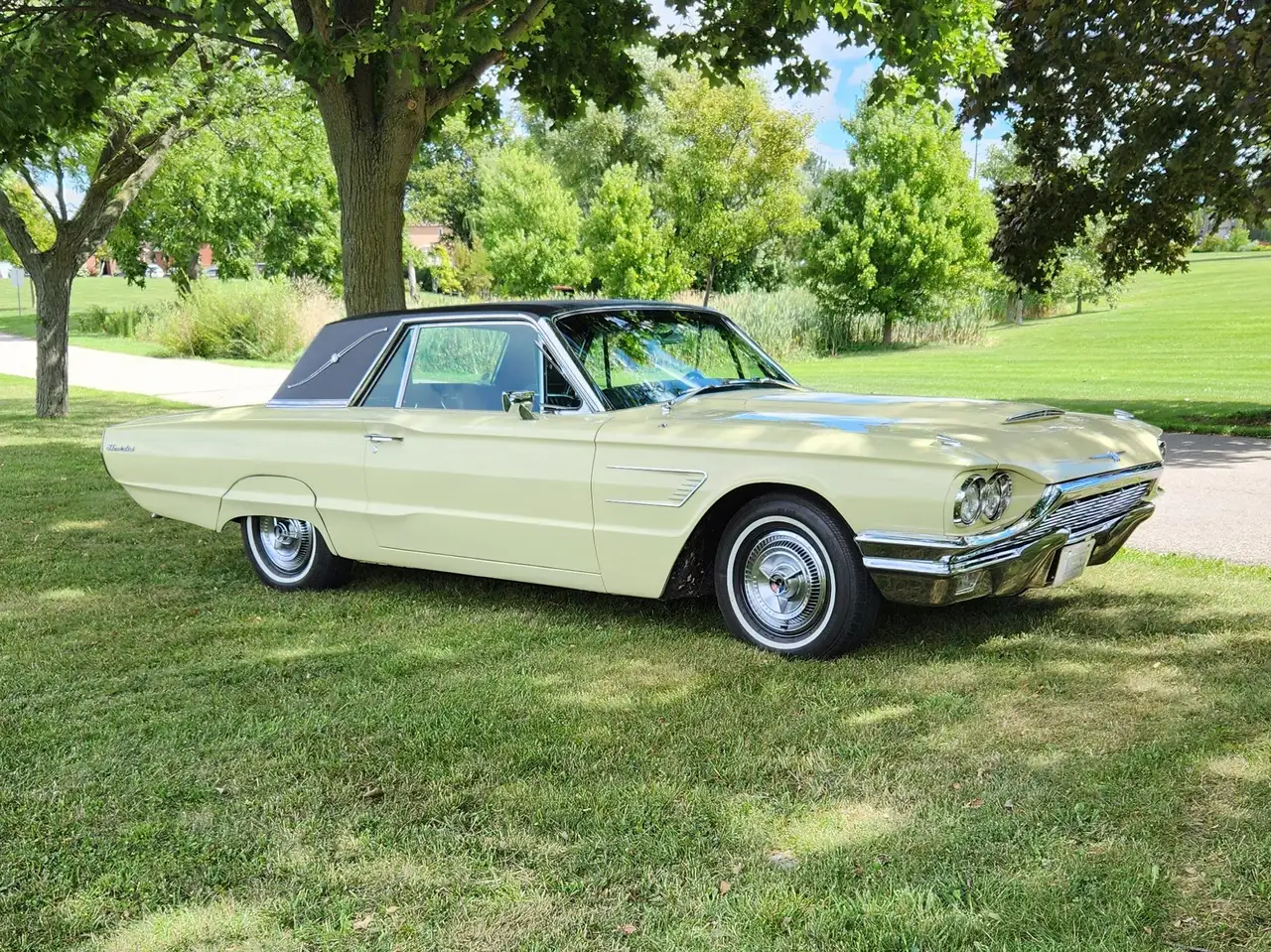 Ford Thunderbird снимка Ford Thunderbird