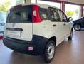 Fiat Panda Panda 1.2 Pop Van 2 posti PRONTA ALL’USO Bianco - thumbnail 4