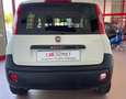 Fiat Panda Panda 1.2 Pop Van 2 posti PRONTA ALL’USO Bianco - thumbnail 5